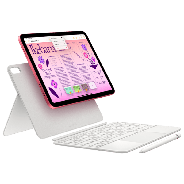 iPad 11 A16 512GB Wi-Fi Pink, iRestore Chisinau